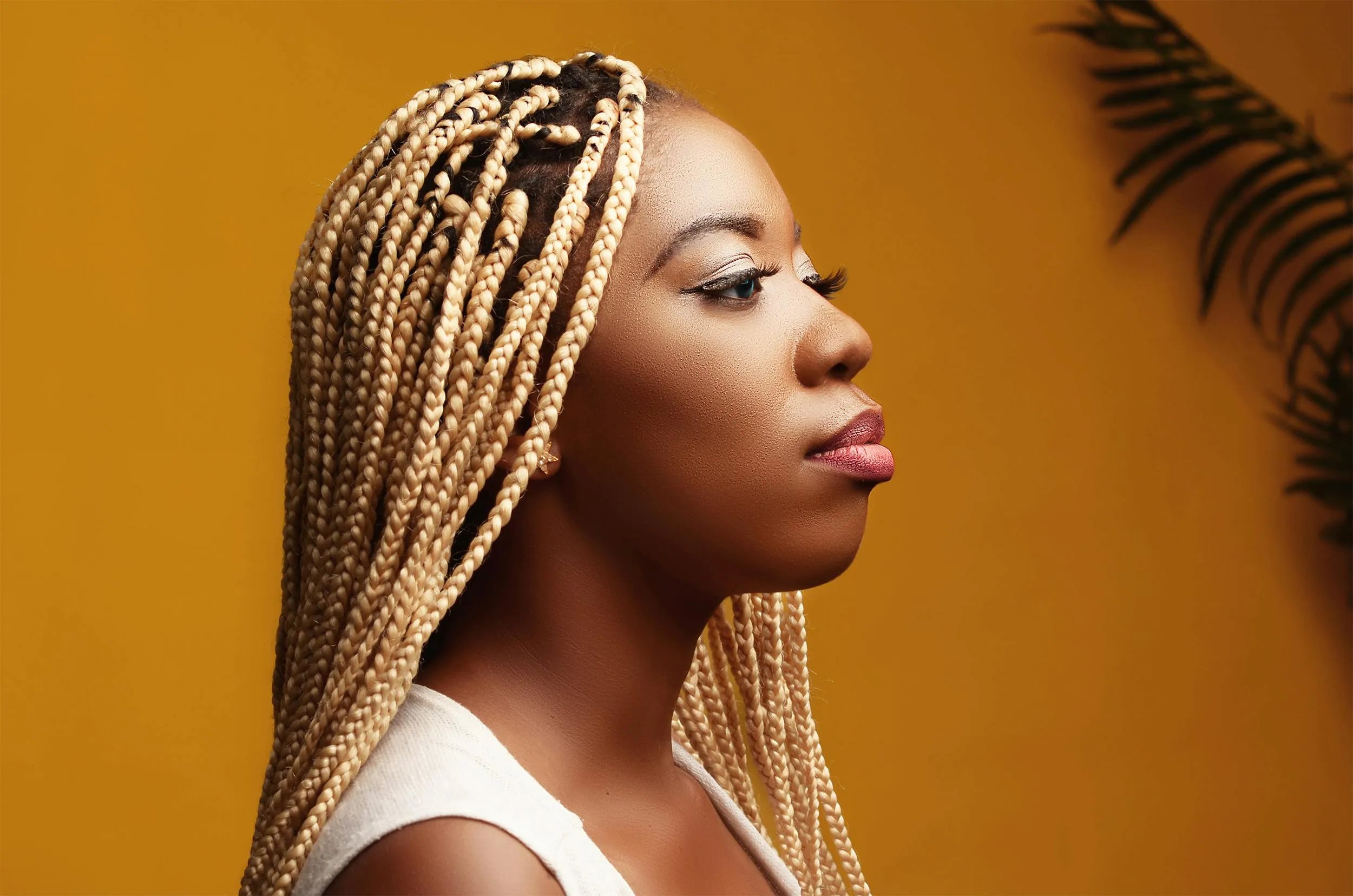 Everything To Know About Box Braids