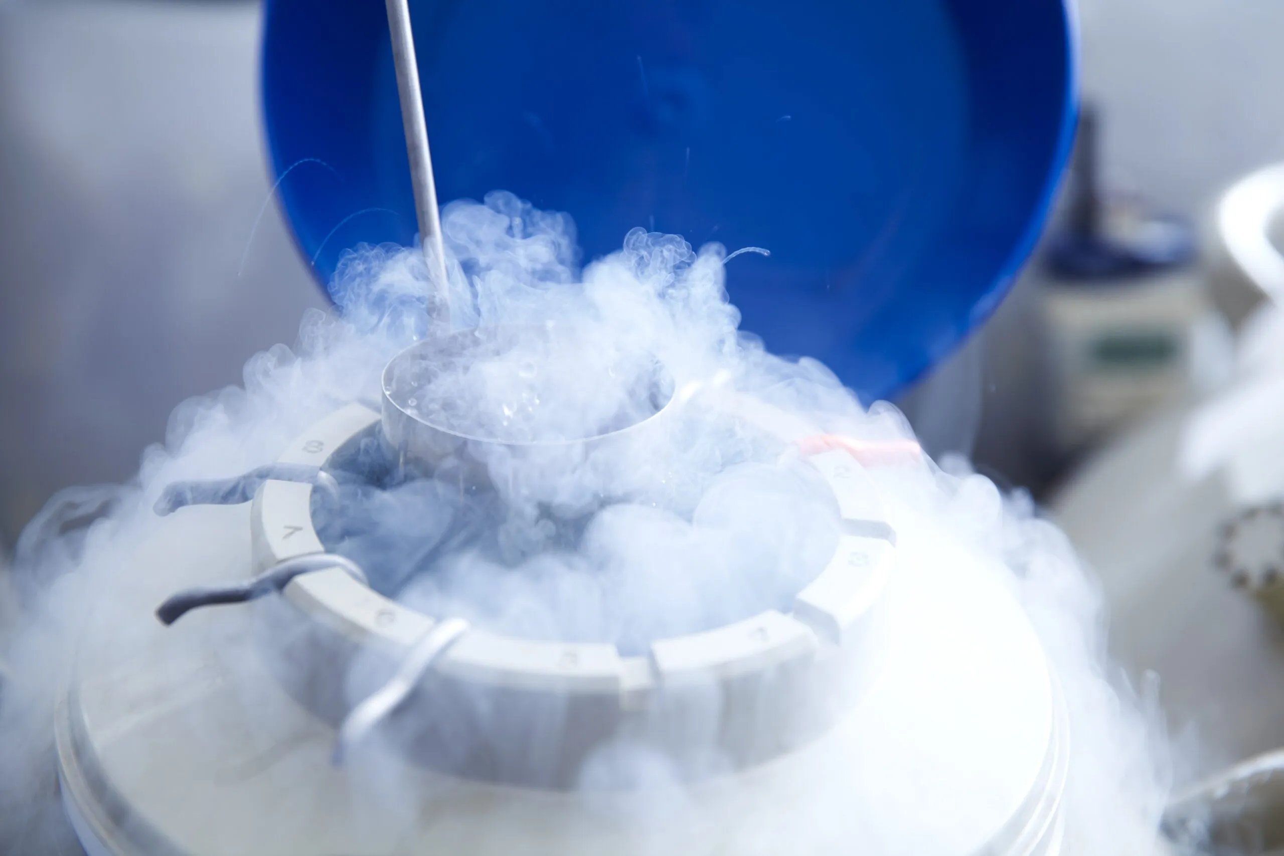 What You Really Need to Know About “Free” Egg Freezing