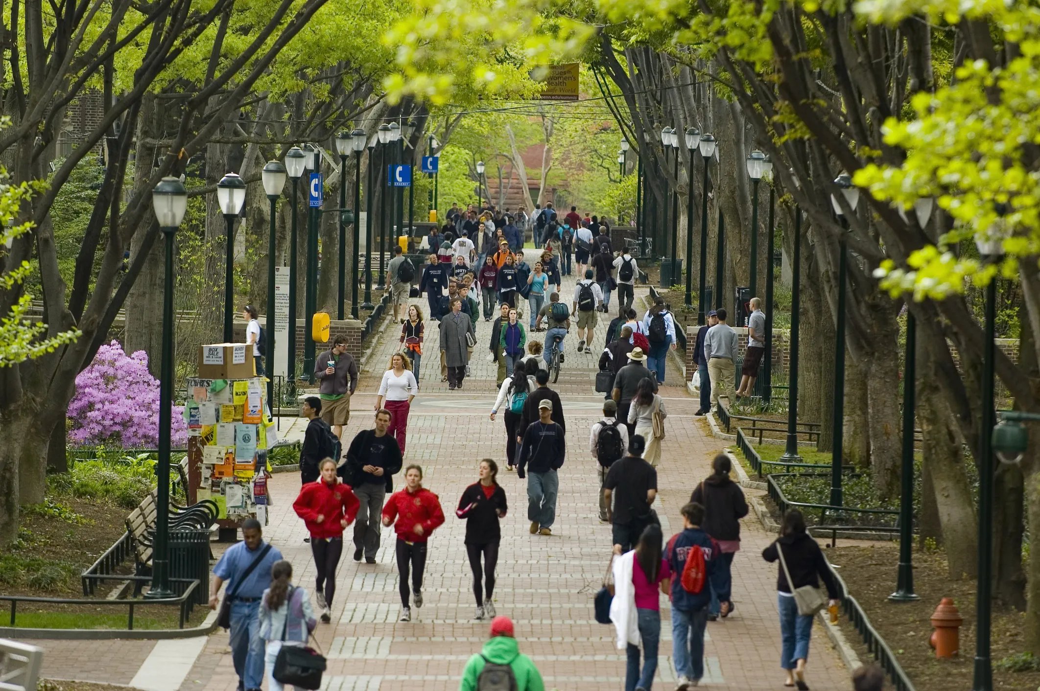 Penn Bans Trans Women From Women’s Sports, Erases Lia Thomas’ Records In Deal With Trump Admin