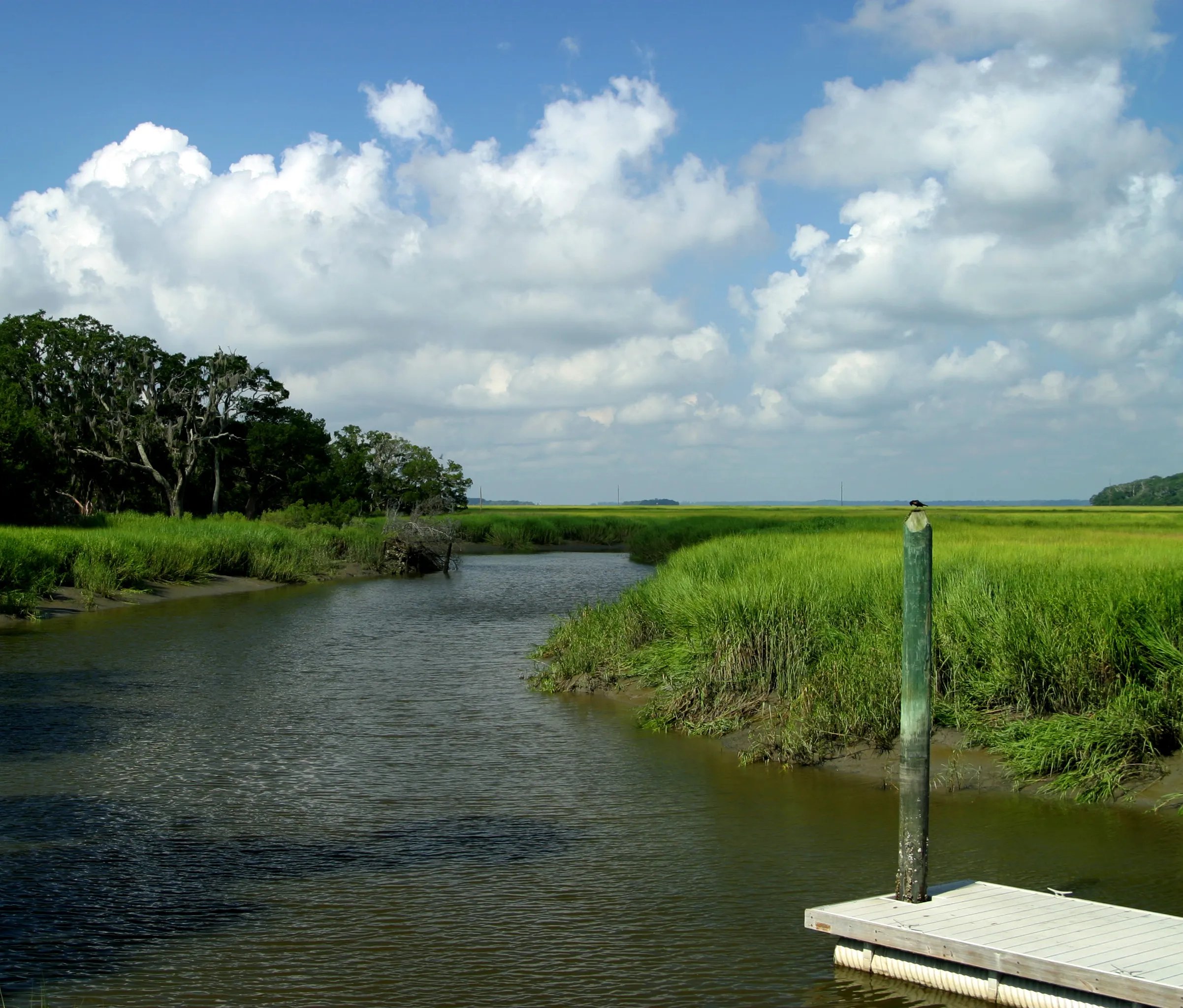 "Gentle marsh scene in Sapelo Island, Georgia"