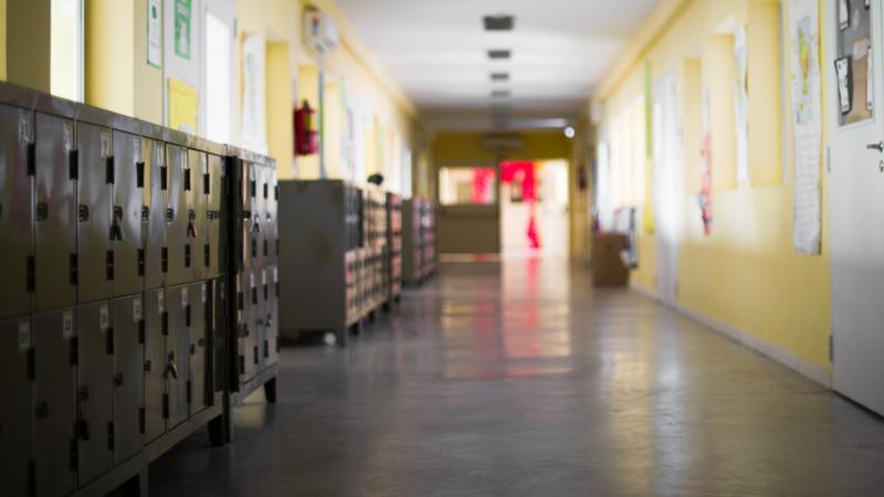 Chicago Teacher Accused Of Hanging A Black Doll On A String In His Classroom