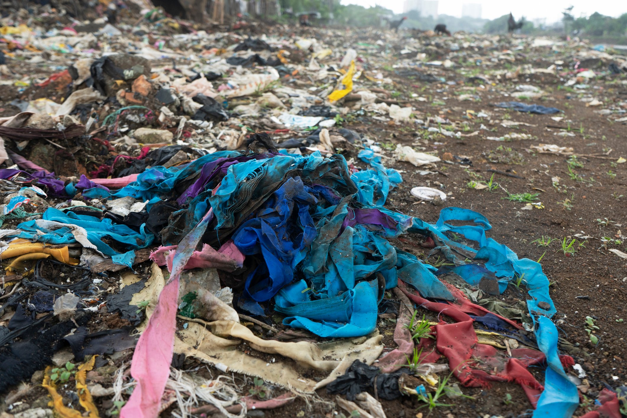 What Is Fast Fashion And Why Is It So Harmful?