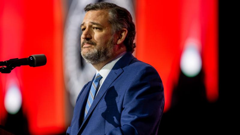 Texas Man Confronts Ted Cruz At Restaurant, Demands Gun Laws
