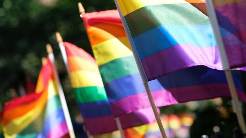 Rep Your Colors: A Brief History Of The LGBTQ+ Flag