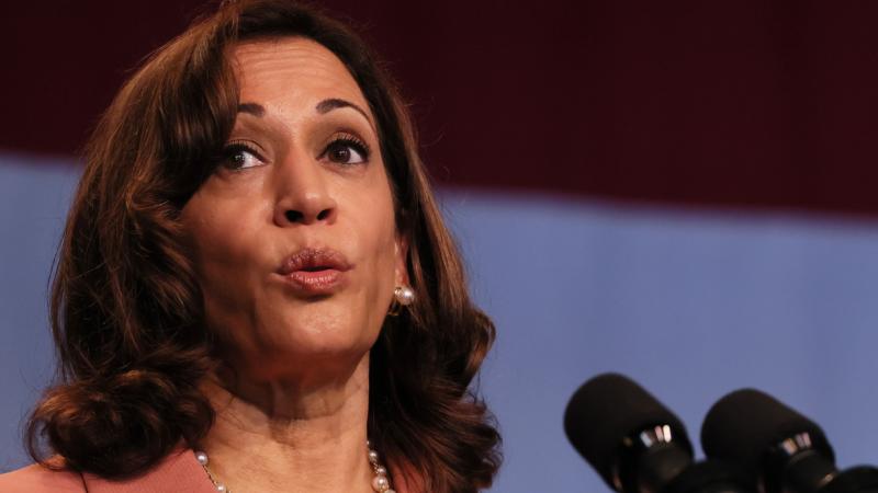 Kamala Harris' Supporters Come To Her Defense After She Was Accused Of Mocking Disabled People