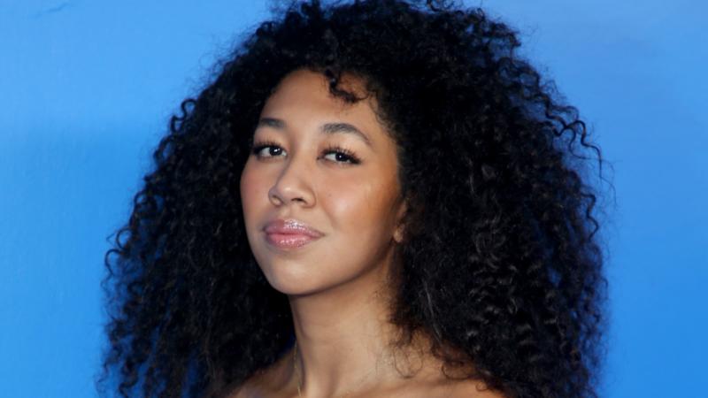 Aoki Lee Simmons Defends Her Decision To Pursue Modeling While Attending Harvard