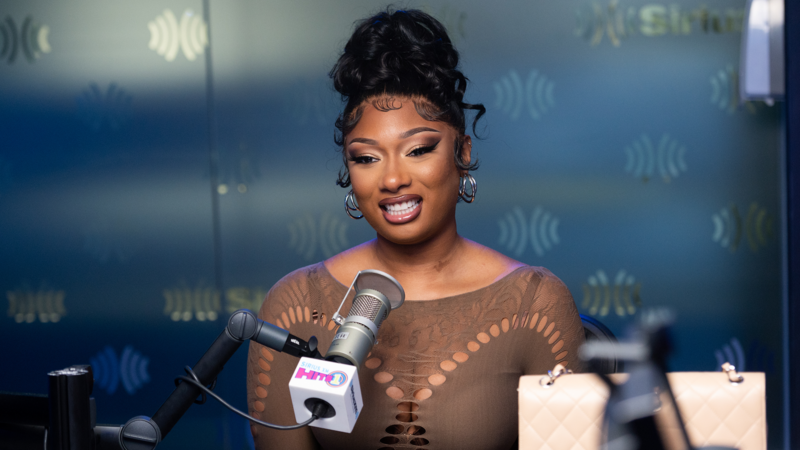 Megan Thee Stallion Responds To The Rock Wanting To Be Her Pet: 'Period, We Made It'