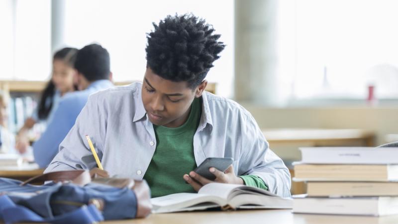 Students Perceive Themselves As A ‘Math Person’ Or A ‘Reading Person’ Early On – And This Can Impact The Choices They Make Throughout Their Lives