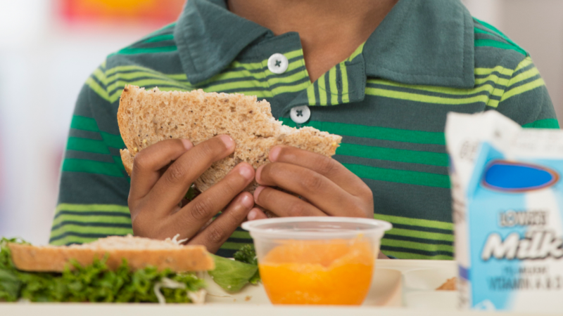 Mother Shares What's Inside 'Terrible Sandwich' After Kindergartener's Hilarious Feedback Goes Viral