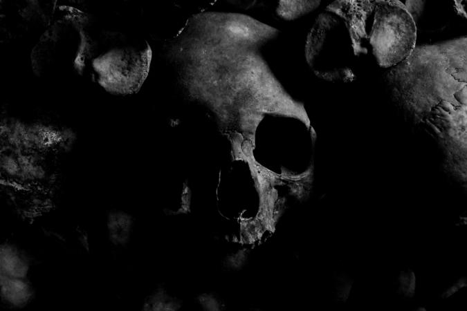 A closeup of a skull