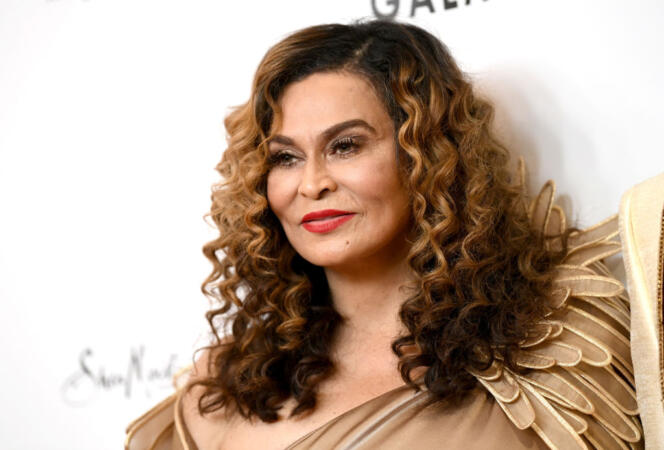 Tina Knowles-Lawson Gets Lifted Out From The Mosh Pit During Beyoncé's Renaissance Concert