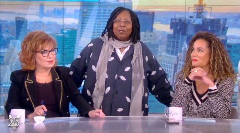 Whoopi Goldberg Apologizes For 'The View' Hosts' Immigration Debate: 'A Very Crabby Table'