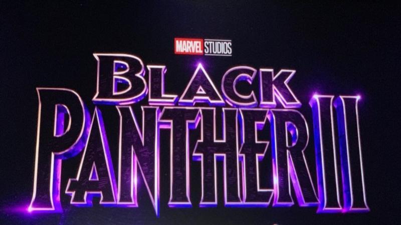 'Black Panther II' Release Date Revealed By Marvel