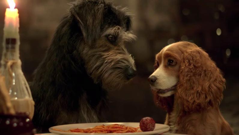 'Lady And The Tramp' Trailer: Tessa Thompson, Janelle Monáe, Kiersey Clemons And Yvette Nicole Brown Star In Disney+ Live Action Remake