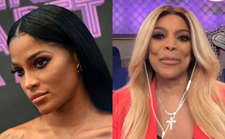 Joseline Hernandez Has Contentious Appearance On 'The Wendy Williams Show,' Twitter Reacts