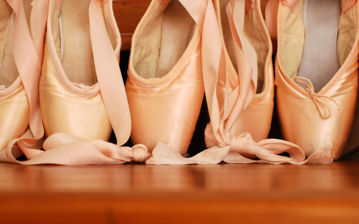 Dancer's Choice, Pointe Shoes, Ballet Shoes