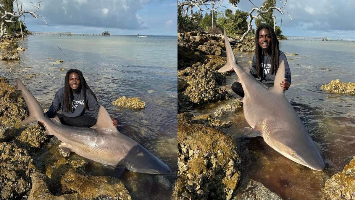 Black Fisherman Goes Viral After Catching A Shark Using His Bare