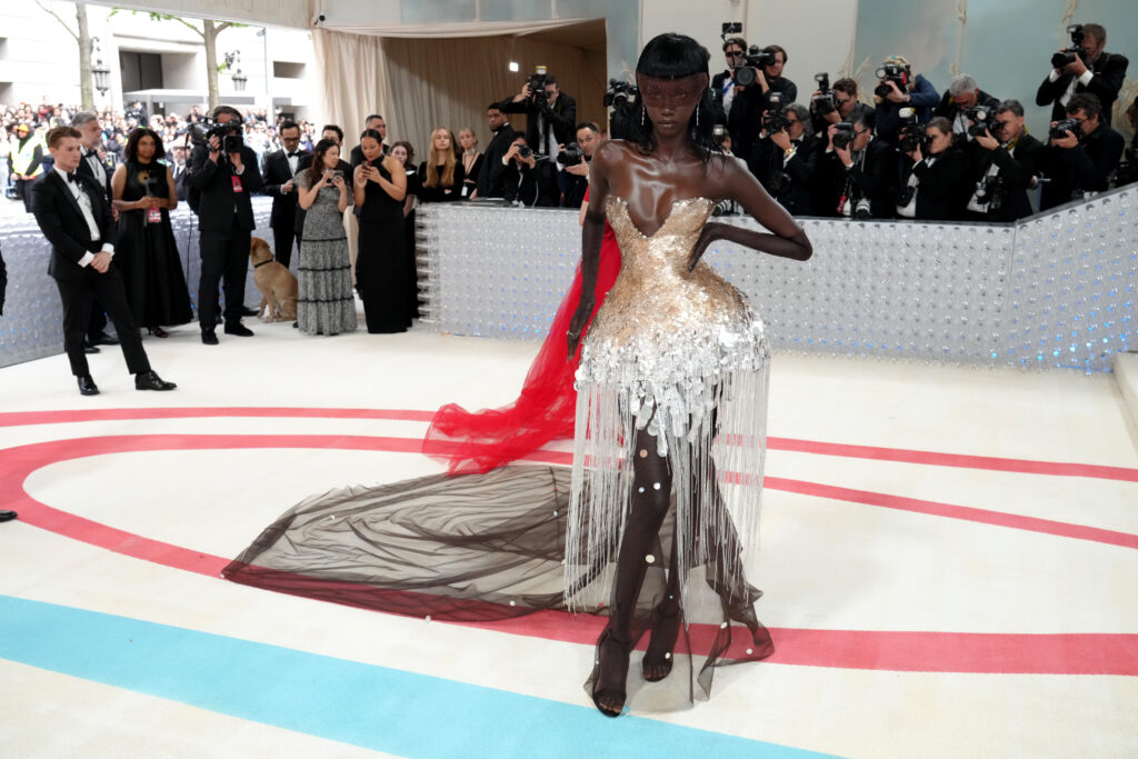 Best Dressed of All Time Met Gala pictured: Anok Yai