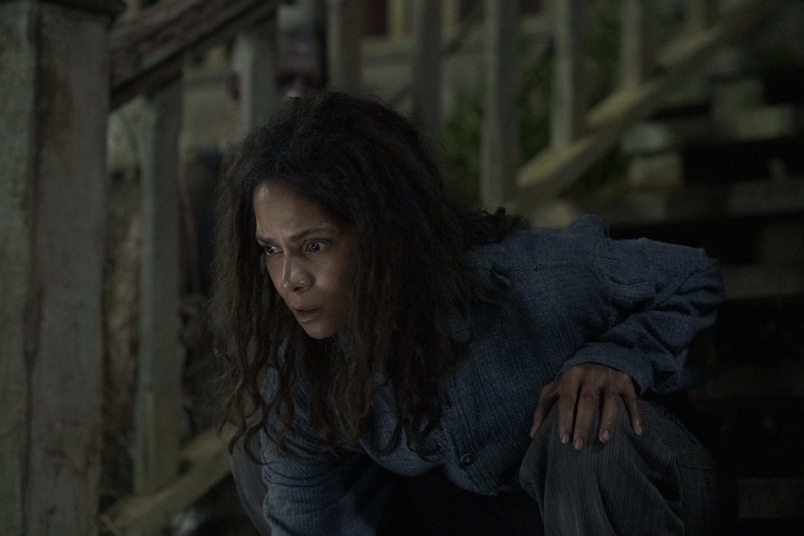 Latest Trailer For Halle Berry's 'Never Let Go' Film Ups The Thrills And Horror