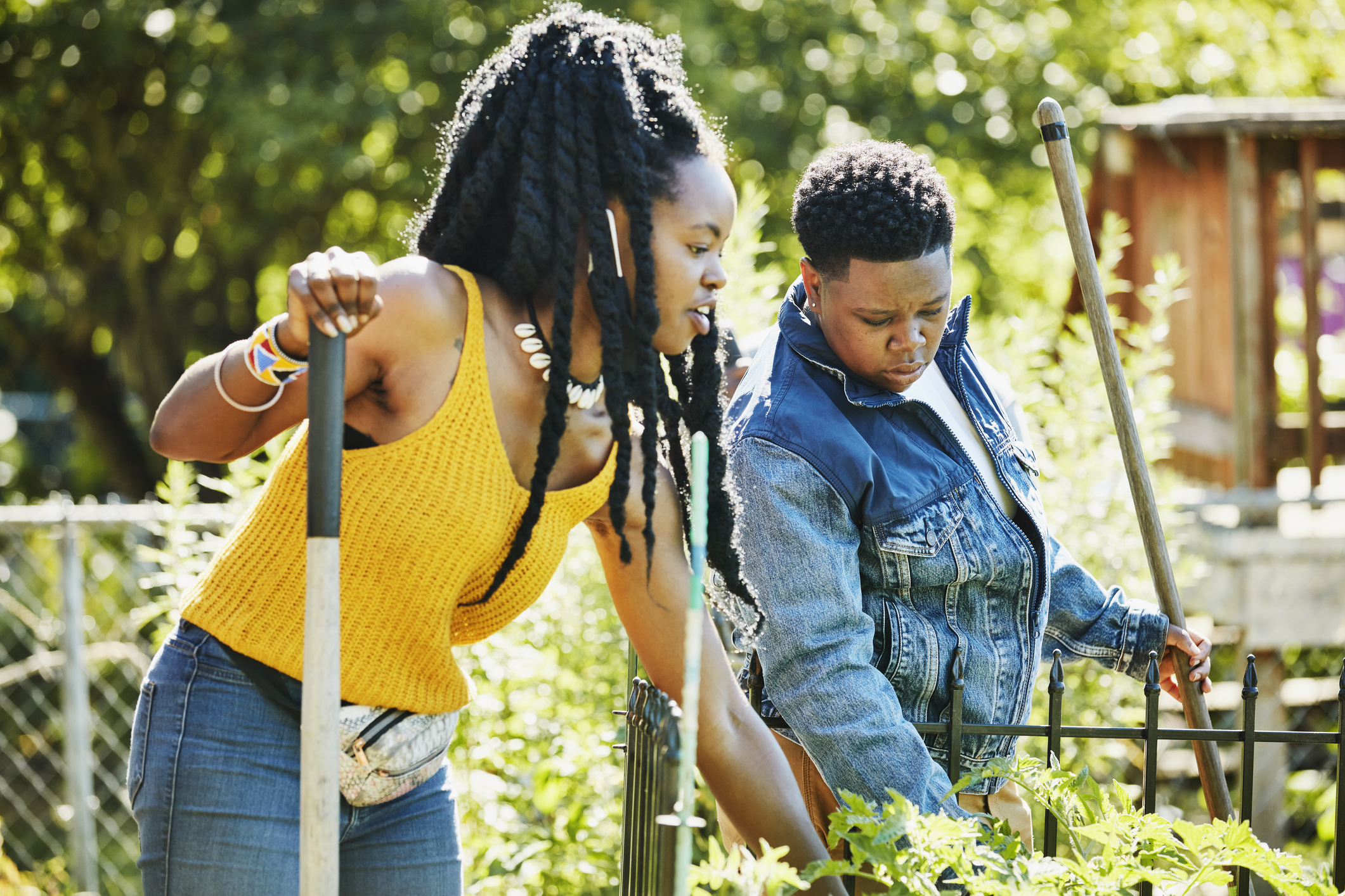 Urban Gardening, Explained And Ideas For Your Own Urban Garden - Blavity