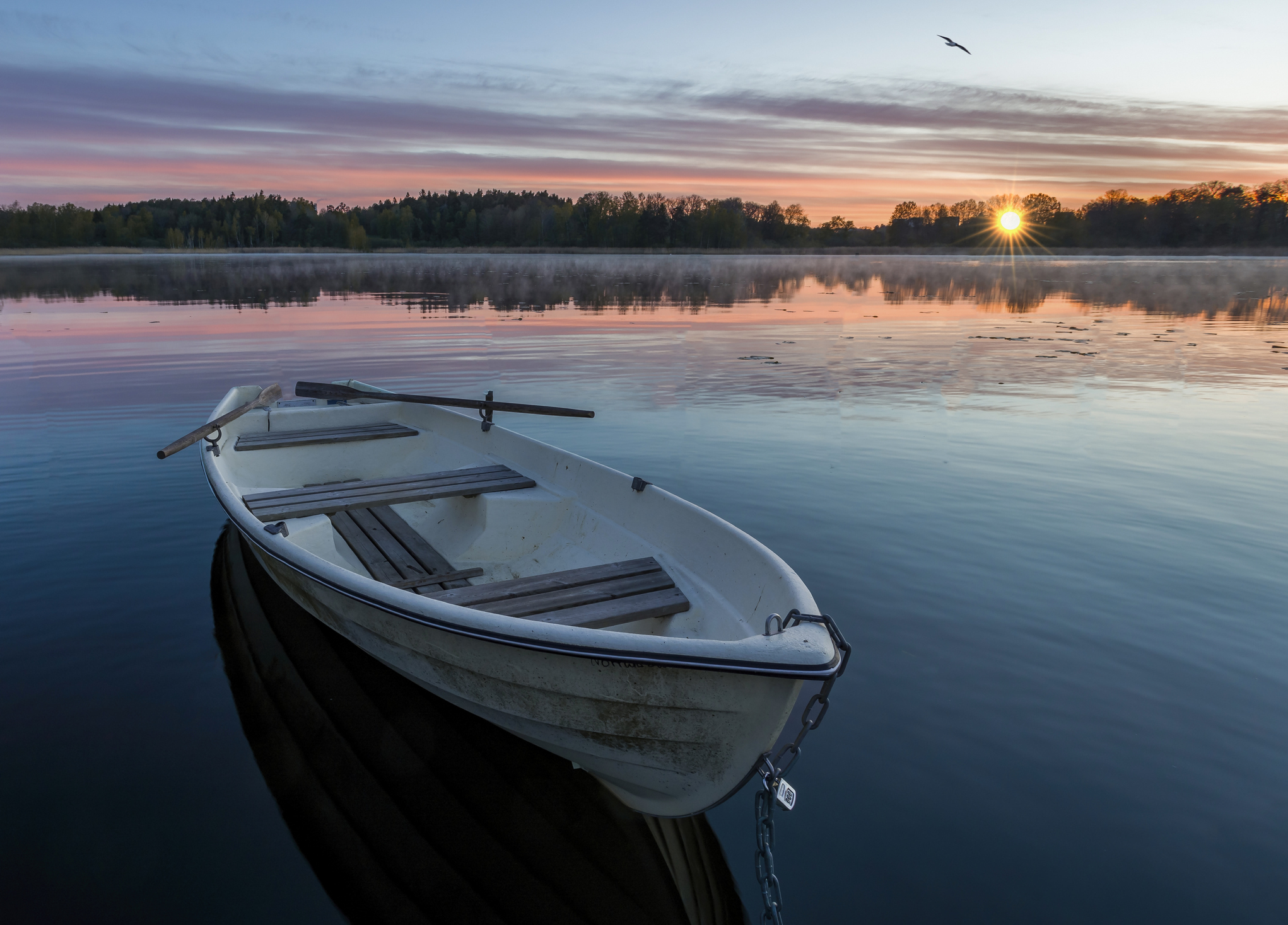 Spelman College Professor Found Dead And School Coach Still Missing After Boat Found On Georgia Lake