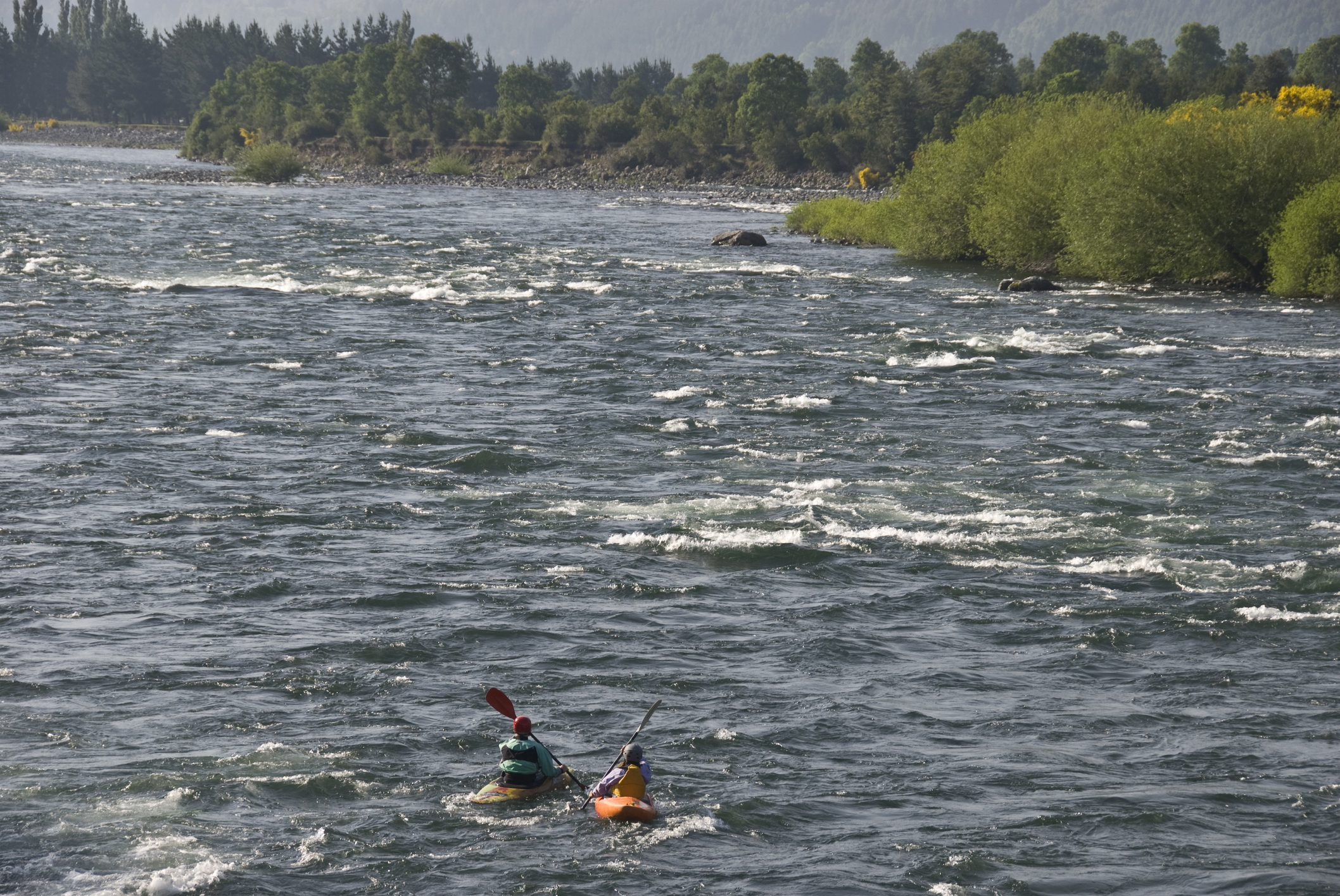 Whale Swallows Kayaker Before Spitting Him Out In Viral Video: 'I Thought I Died'