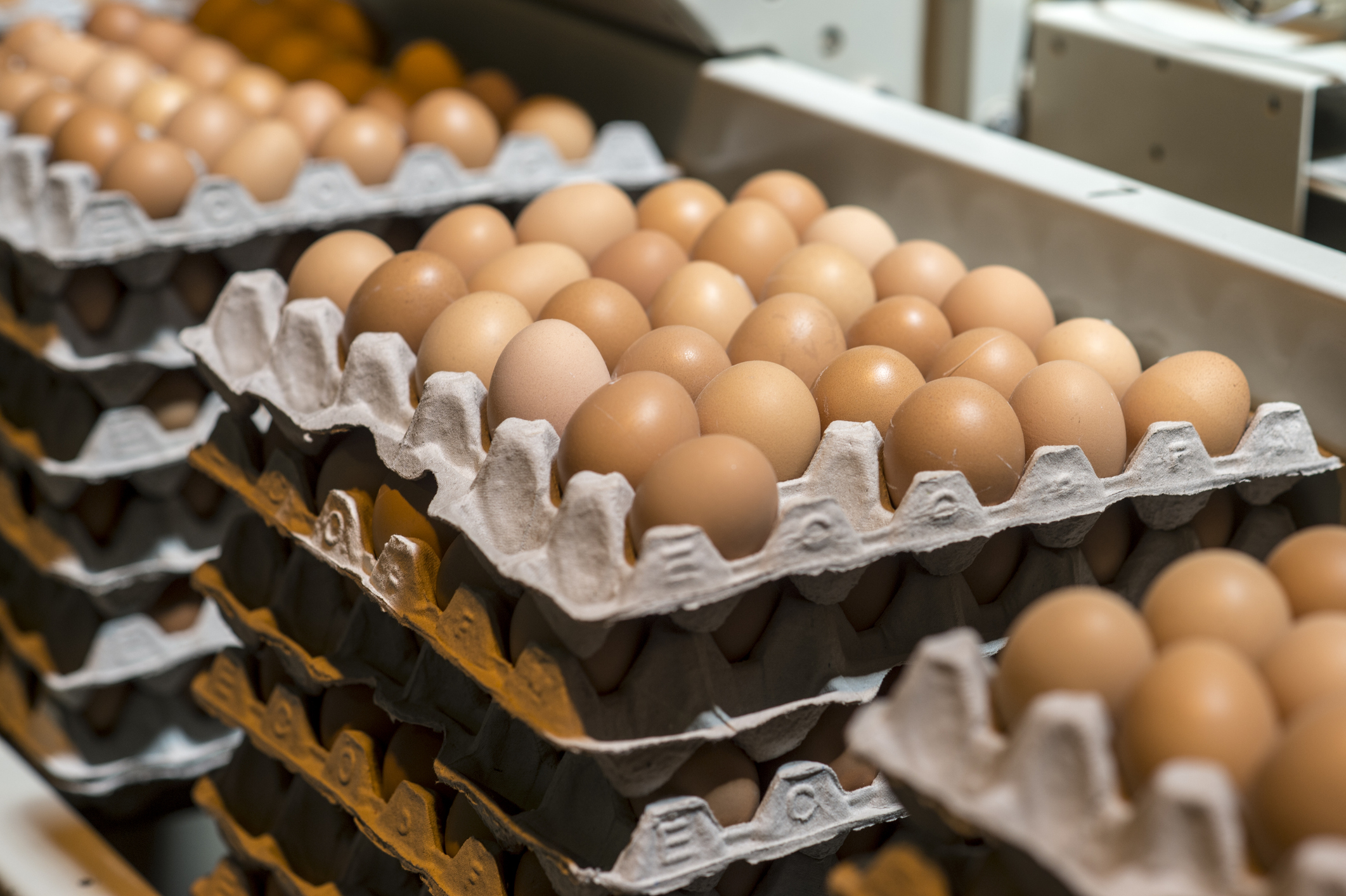 Waffle House Egg Surcharge And Why The Rise Of Egg Prices Is Here To Stay, According To Experts