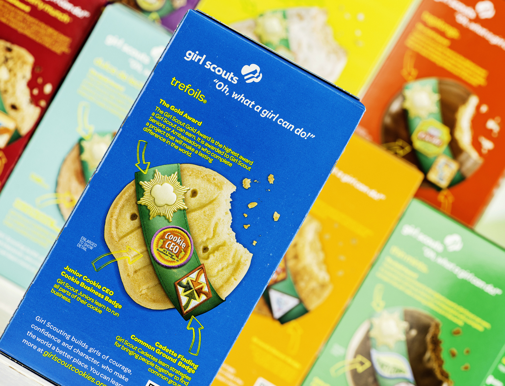 Girl Scouts Face Lawsuit Over Claims Of Heavy Metals, Toxins In Cookies