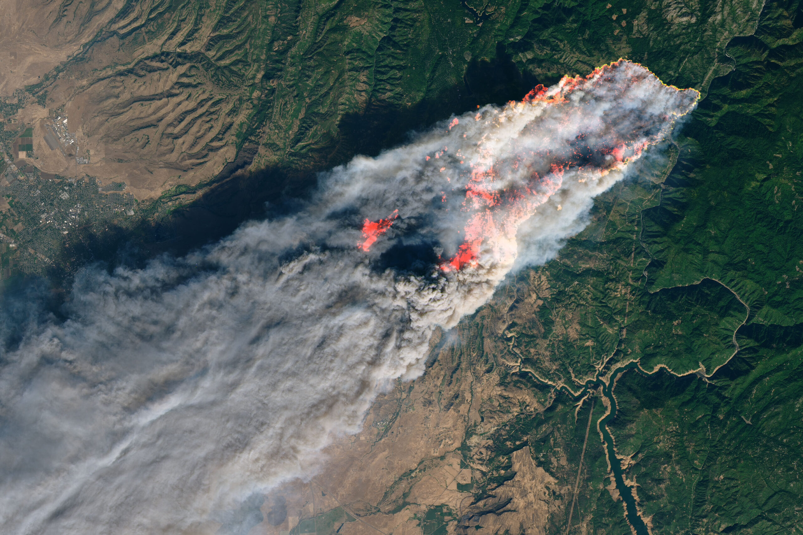 Apple TV+'s 'The Lost Bus' Tells The True Story Of California's Deadliest Wildfire Apple TV+'s 'The Lost Bus' Tells The True Story Of California's Deadliest Wildfire