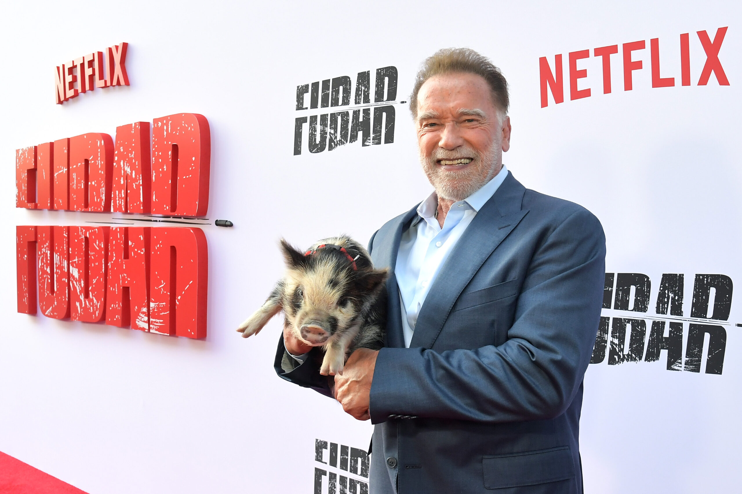 Breaking Down The Ending Of Netflix's 'FUBAR' Season 1 &amp; 2