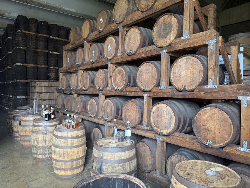 Casa Bacardi